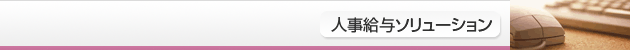 人事給与ソリューション